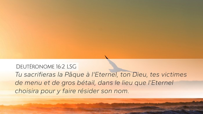 Deutéronome 16:2 LSG Bible Verse Image