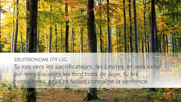 Deutéronome 17:9 LSG Desktop Wallpaper - Tu iras vers les sacrificateurs, les Lévites, et - Desktop Bible Verse Wallpaper