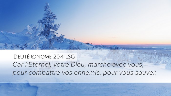 Deutéronome 20:4 LSG Bible Verse Image