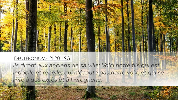 Deutéronome 21:20 LSG Bible Verse Image