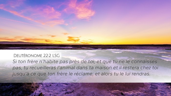 Deutéronome 22:2 LSG Bible Verse Image