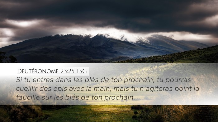 Deutéronome 23:25 LSG Bible Verse Image