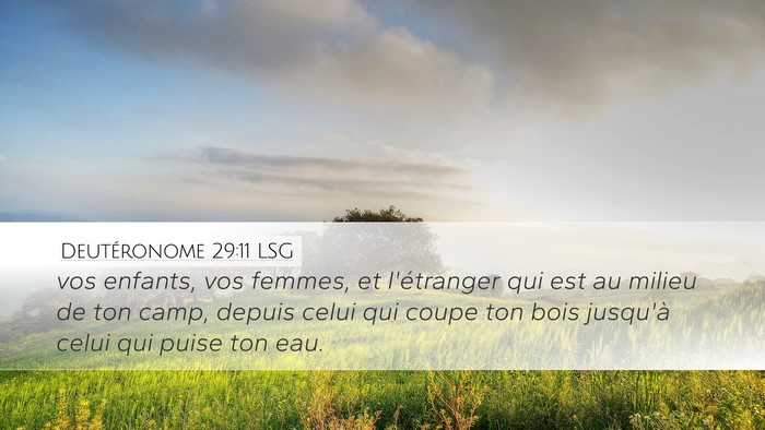 Deutéronome 29:11 LSG Bible Verse Image