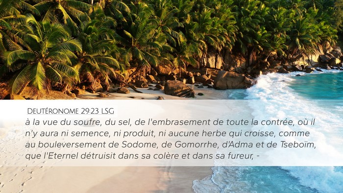 Deutéronome 29:23 LSG Bible Verse Image