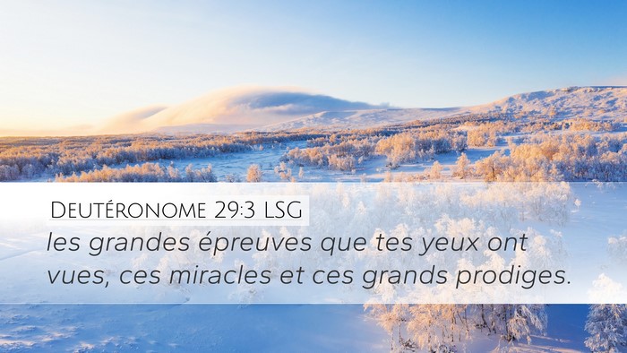 Deutéronome 29:3 LSG Bible Verse Image