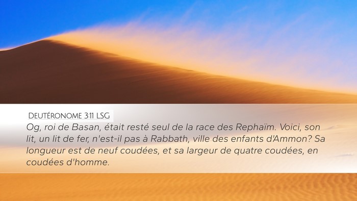 Deutéronome 3:11 LSG Bible Verse Image