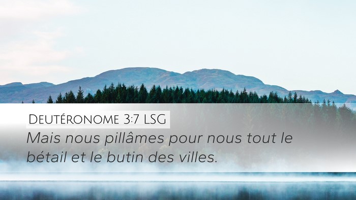 Deutéronome 3:7 LSG Desktop Wallpaper - Mais nous pillâmes pour nous tout le bétail et - Desktop Bible Verse Wallpaper