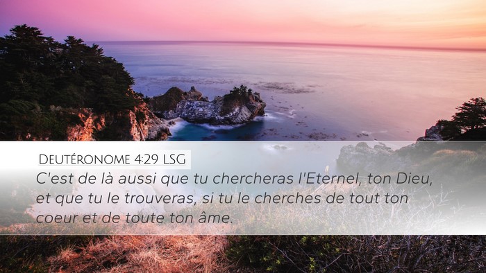 Deutéronome 4:29 LSG Bible Verse Image