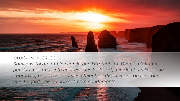 Deutéronome 8:2 LSG Bible Verse Image