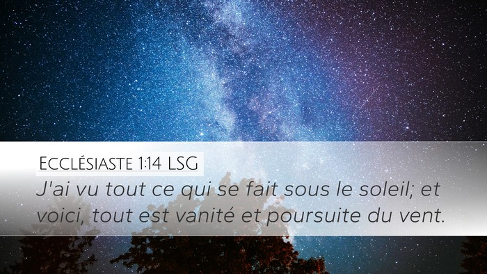 Ecclésiaste 1:14 LSG Bible Verse Image