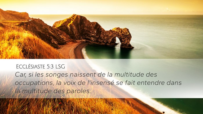 Ecclésiaste 5:3 LSG Bible Verse Image