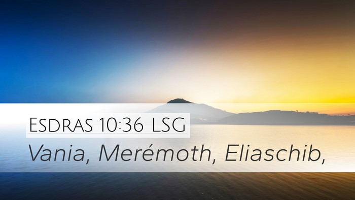 Esdras 10:36 LSG Desktop Wallpaper - Vania, Merémoth, - Desktop Bible Verse Wallpaper