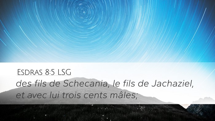 Esdras 8:5 LSG Desktop Wallpaper - des fils de Schecania, le fils de Jachaziel, et - Desktop Bible Verse Wallpaper