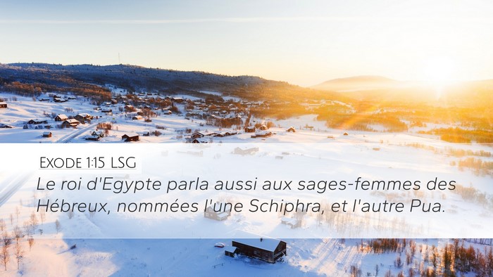 Exode 1:15 LSG Desktop Wallpaper - Le roi d'Egypte parla aussi aux sages-femmes des - Desktop Bible Verse Wallpaper