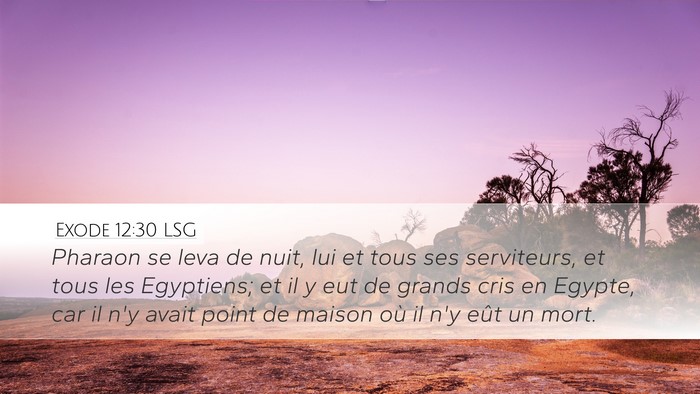 Exode 12:30 LSG Bible Verse Image