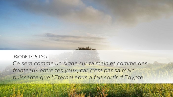 Exode 13:16 LSG Bible Verse Image