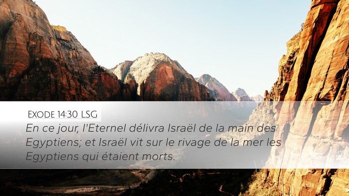 Exode 14:30 LSG Bible Verse Image