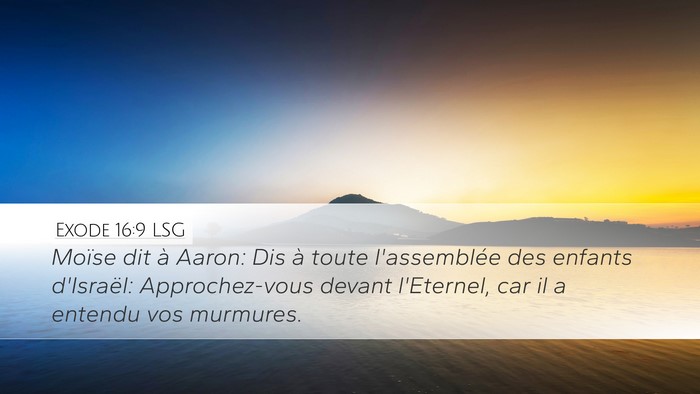 Exode 16:9 LSG Desktop Wallpaper - Moïse dit à Aaron: Dis à toute l'assemblée - Desktop Bible Verse Wallpaper
