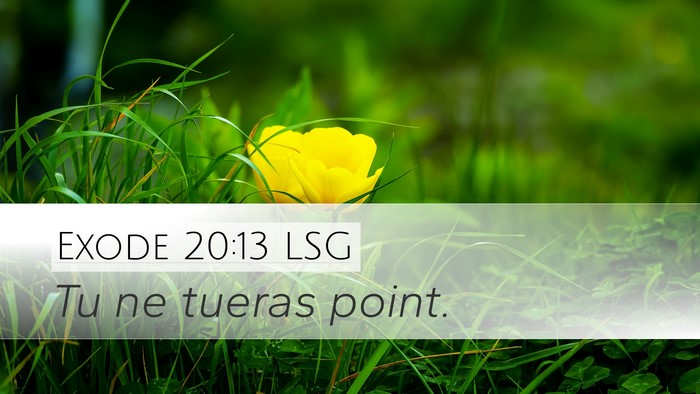 Exode 20:13 LSG Bible Verse Image