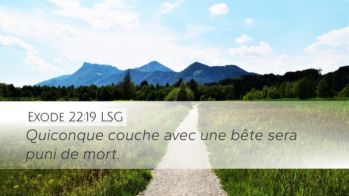 Exode 22:19 LSG Bible Verse Image