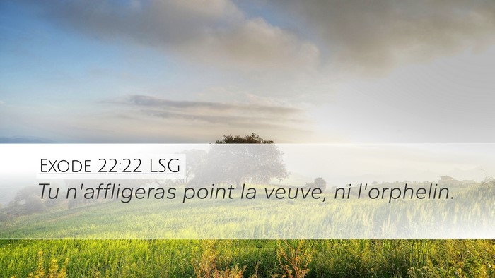 Exode 22:22 LSG Desktop Wallpaper - Tu n'affligeras point la veuve, ni - Desktop Bible Verse Wallpaper