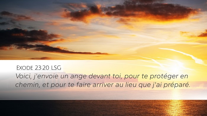 Exode 23:20 LSG Bible Verse Image