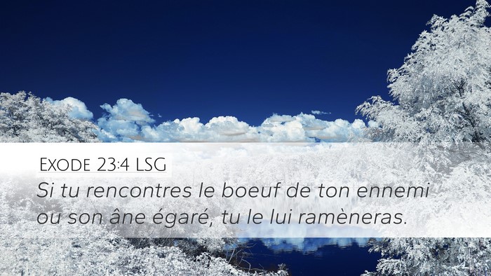 Exode 23:4 LSG Bible Verse Image