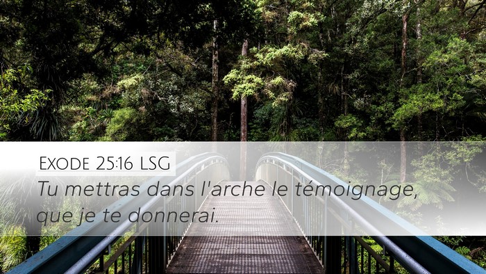 Exode 25:16 LSG Bible Verse Image
