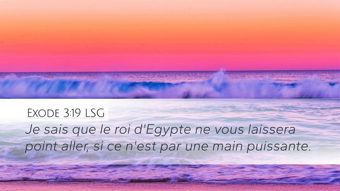 Exode 3:19 LSG Bible Verse Image