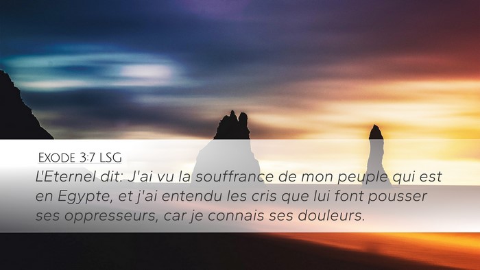 Exode 3:7 LSG Bible Verse Image
