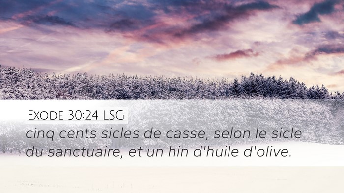 Exode 30:24 LSG Bible Verse Image