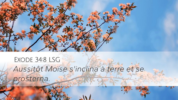 Exode 34:8 LSG Bible Verse Image