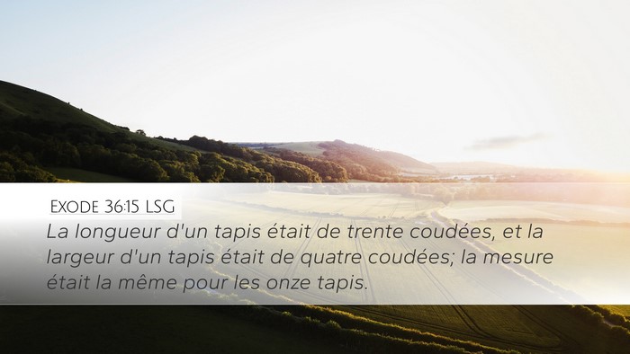 Exode 36:15 LSG Desktop Wallpaper - La longueur d'un tapis était de trente coudées, - Desktop Bible Verse Wallpaper