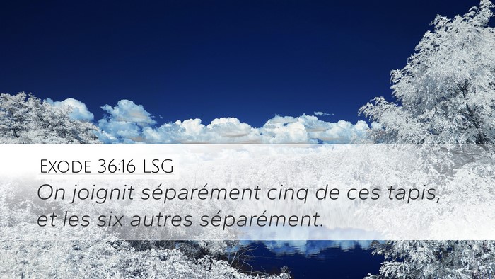 Exode 36:16 LSG Desktop Wallpaper - On joignit séparément cinq de ces tapis, et les - Desktop Bible Verse Wallpaper