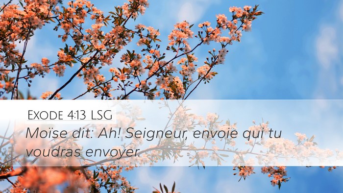 Exode 4:13 LSG Bible Verse Image