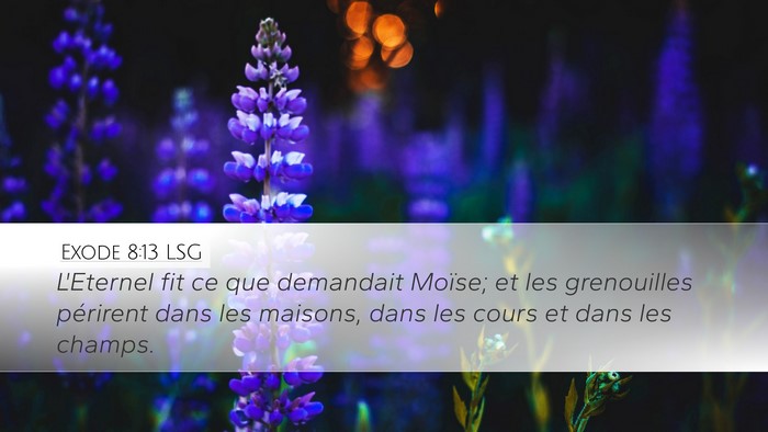 Exode 8:13 LSG Desktop Wallpaper - L'Eternel fit ce que demandait Moïse; et les - Desktop Bible Verse Wallpaper