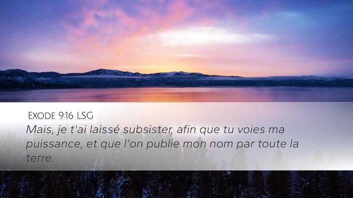 Exode 9:16 LSG Bible Verse Image
