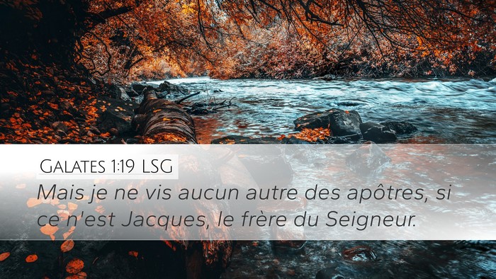Galates 1:19 LSG Bible Verse Image