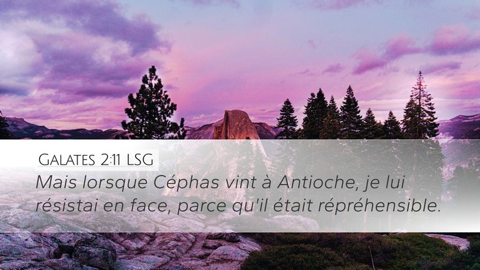 Galates 2:11 LSG Bible Verse Image