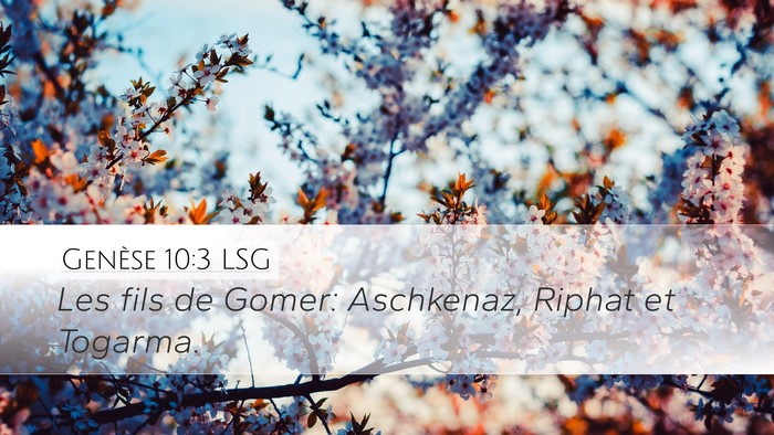Genèse 10:3 LSG Bible Verse Image
