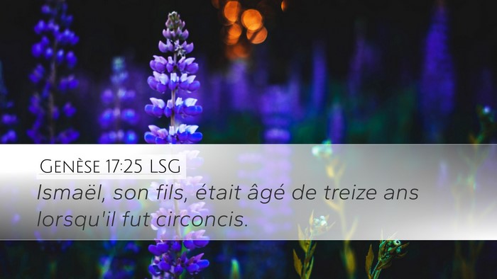 Genèse 17:25 LSG Desktop Wallpaper - Ismaël, son fils, était âgé de treize ans - Desktop Bible Verse Wallpaper