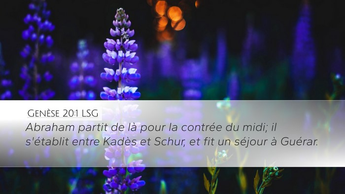 Genèse 20:1 LSG Bible Verse Image