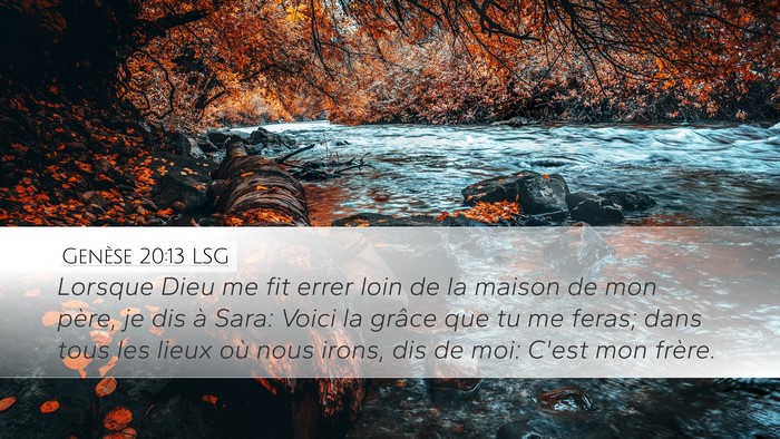 Genèse 20:13 LSG Desktop Wallpaper - Lorsque Dieu me fit errer loin de la maison de - Desktop Bible Verse Wallpaper
