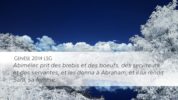Genèse 20:14 LSG Bible Verse Image
