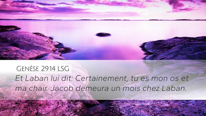 Genèse 29:14 LSG Bible Verse Image