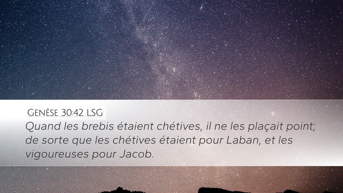 Genèse 30:42 LSG Desktop Wallpaper - Quand les brebis étaient chétives, il ne les - Desktop Bible Verse Wallpaper