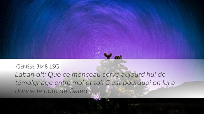 Genèse 31:48 LSG Bible Verse Image