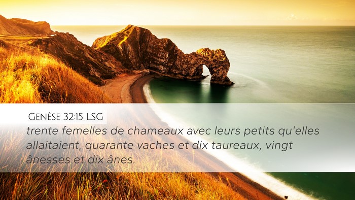 Genèse 32:15 LSG Desktop Wallpaper - trente femelles de chameaux avec leurs petits - Desktop Bible Verse Wallpaper