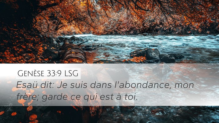 Genèse 33:9 LSG Bible Verse Image