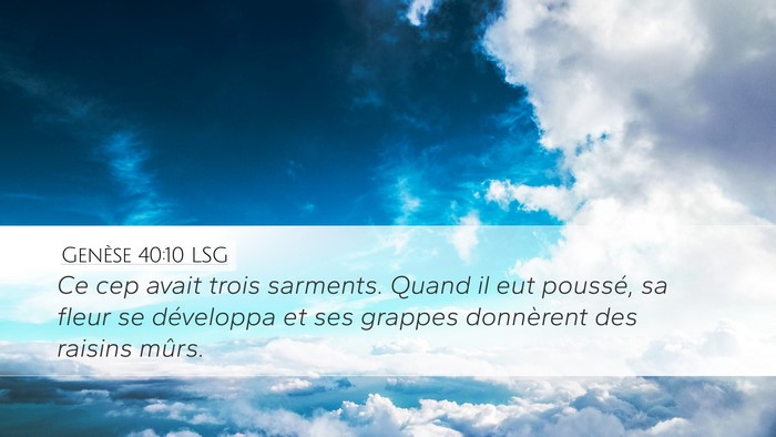 Genèse 40:10 LSG Bible Verse Image